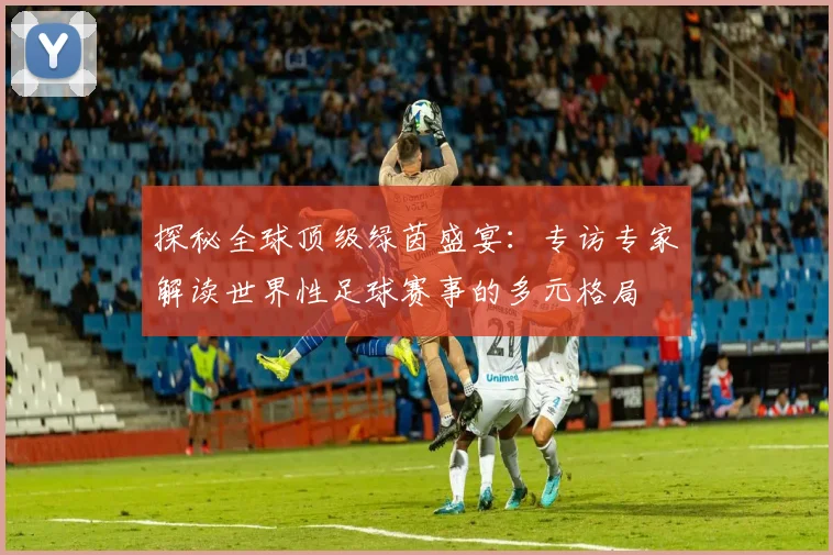 探秘全球顶级绿茵盛宴：专访专家解读世界性足球赛事的多元格局