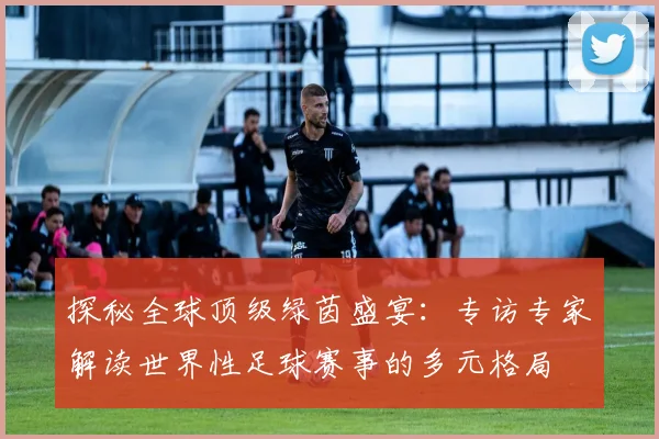 探秘全球顶级绿茵盛宴:专访专家解读世界性足球赛事的多元格局